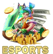 Chương trình VIP rs88